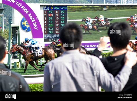 六合彩生肖对照表|The Hong Kong Jockey Club